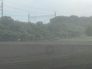 asset 1846
