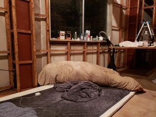 asset 2710