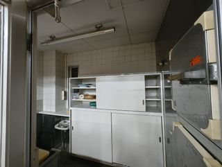 asset 3033