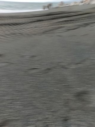 asset 3123