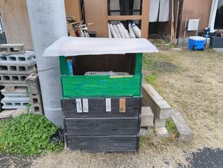 asset 3385