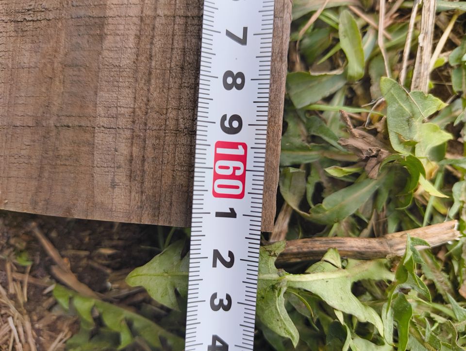 asset 371