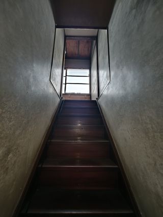 asset 91